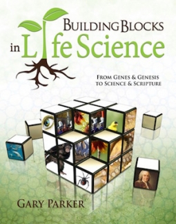 Building Blocks in Life Science